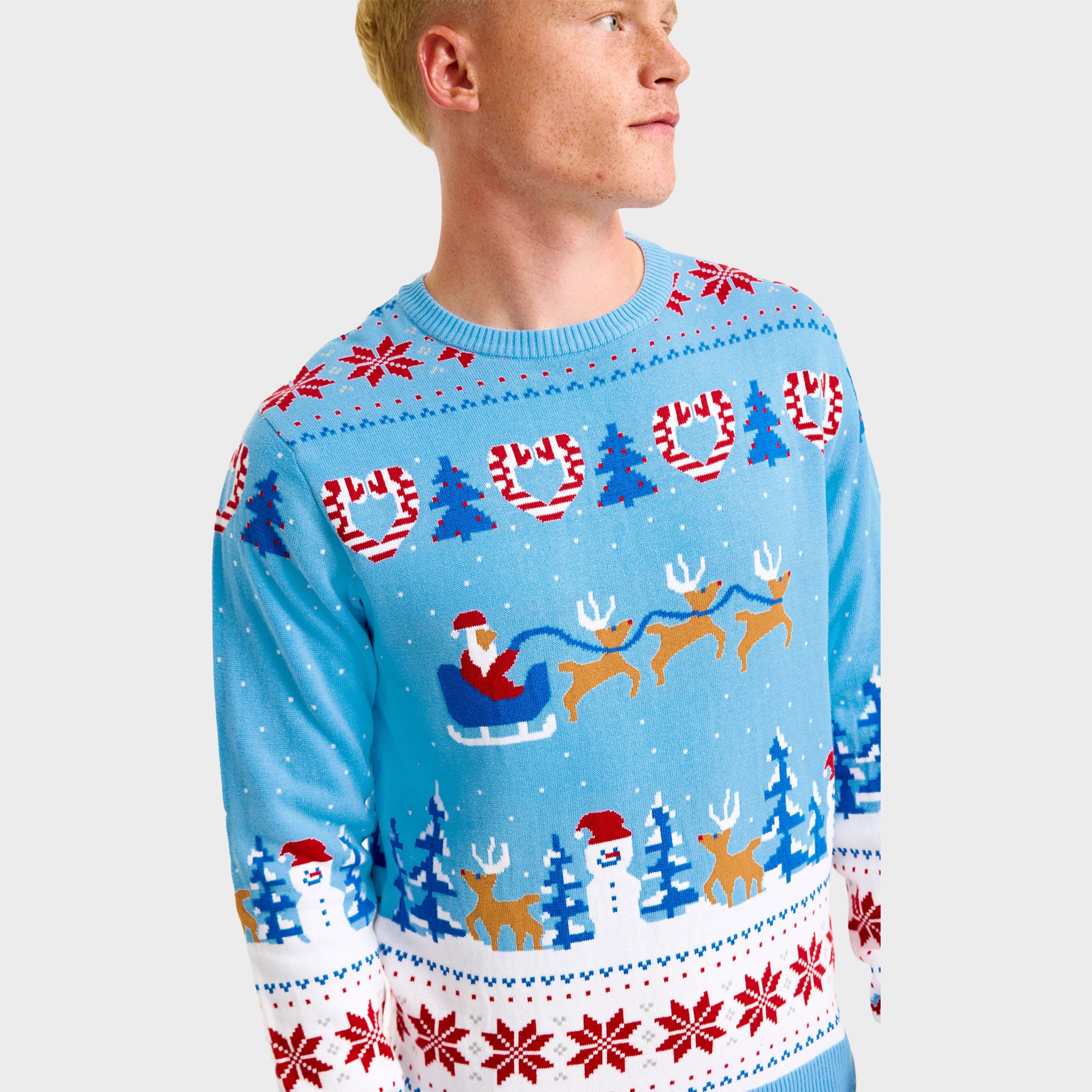 Christmas wonderland julesweater - Herre.